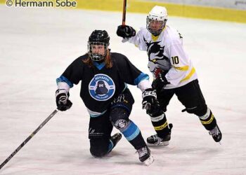 KEHV intern: SPIELE DES TAGES 13.12.2024 – Großeinsatz für unsere Schiedsrichter