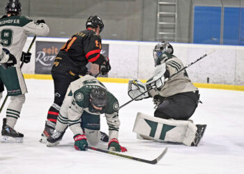 KEHV – AHC Division II OST+MITTE + 1 Spiel Division I – 16.01.2026