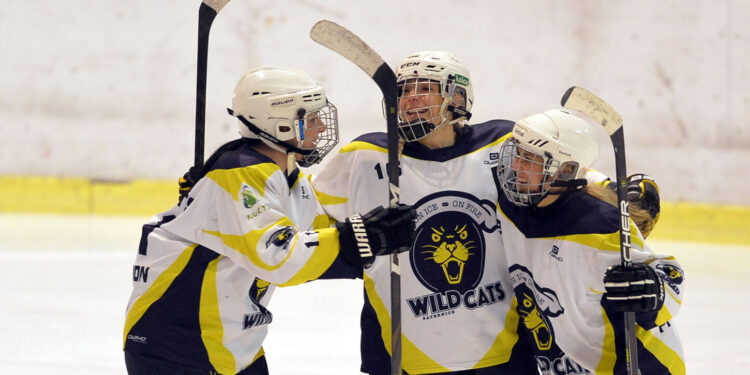 Wildcats Paternion heute gegen die Unicorns aus Steindorf im Einsatz. Foto: Sobe