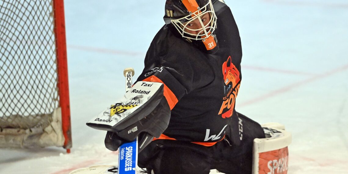 Bild: Foxes  Schmarl Markus 
PhotoCredit: Hermann Sobe