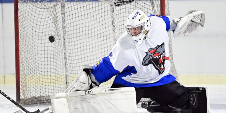 Bild: Göriach Tschinderle Johannes
PhotoCredit: Hermann Sobe