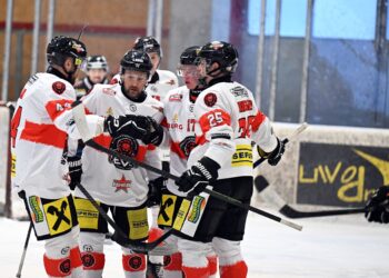 KEHV – AHC Division I – Interview mit Christian Mayerl, Obmann der Zeltweger „Murtal-Lions“
